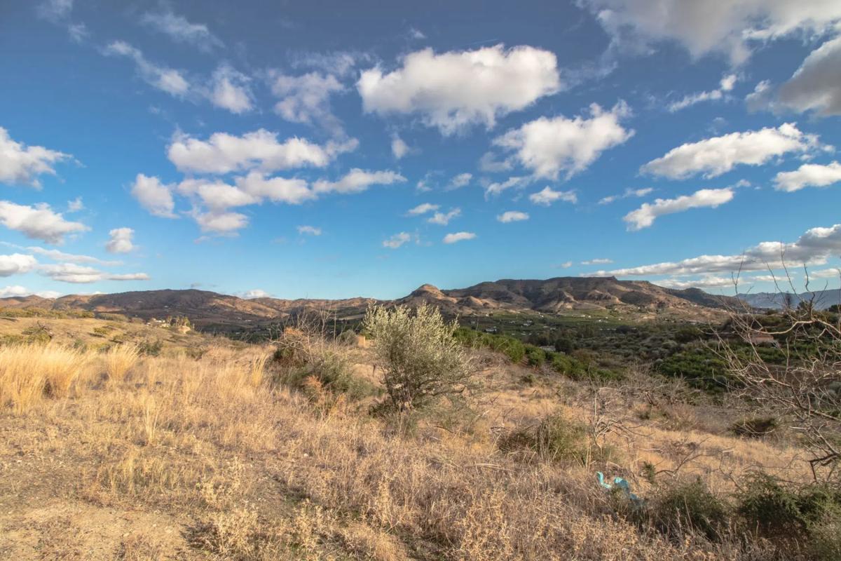 Terreno en venta en Alora, Malaga photo 4