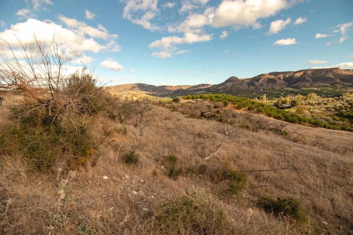 Terreno en venta en Alora, Malaga photo 5