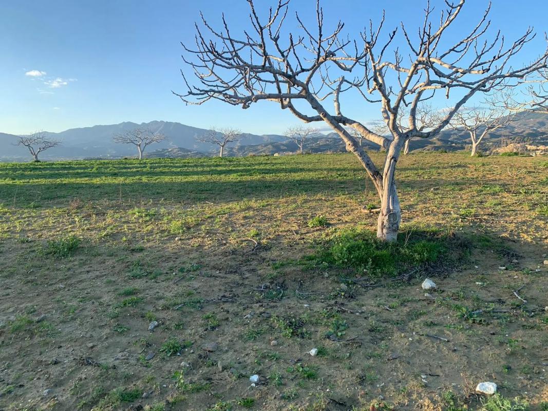 Terreno en venta en Mijas, Malaga photo 4