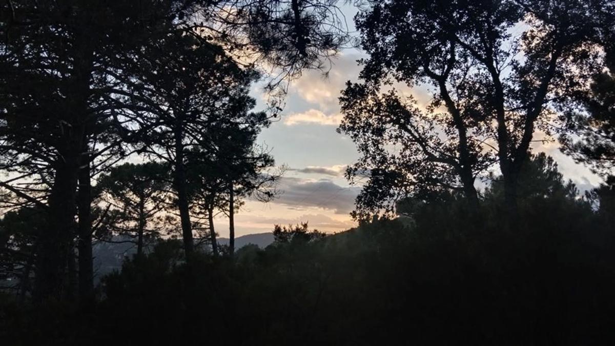 Terreno en venta en Gaucin, Malaga photo 2