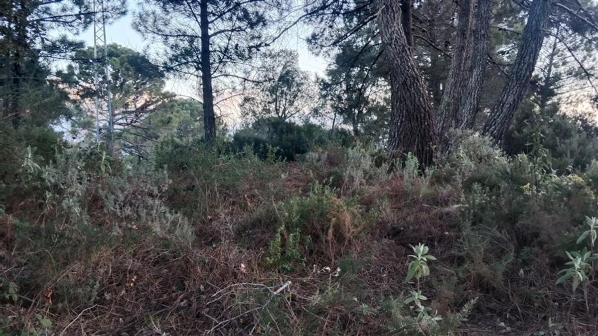 Terreno en venta en Gaucin, Malaga photo 5