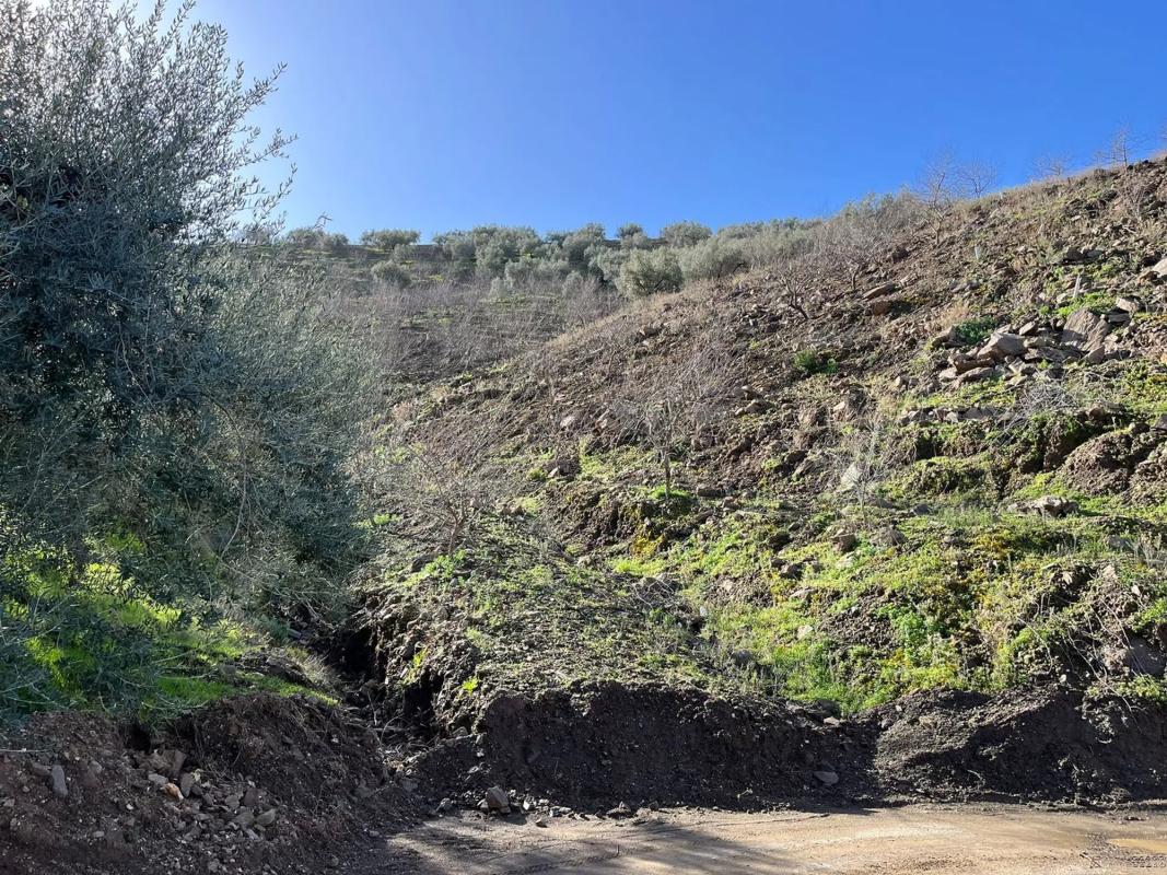 Terreno en venta en Vélez-Malaga, Malaga photo 2
