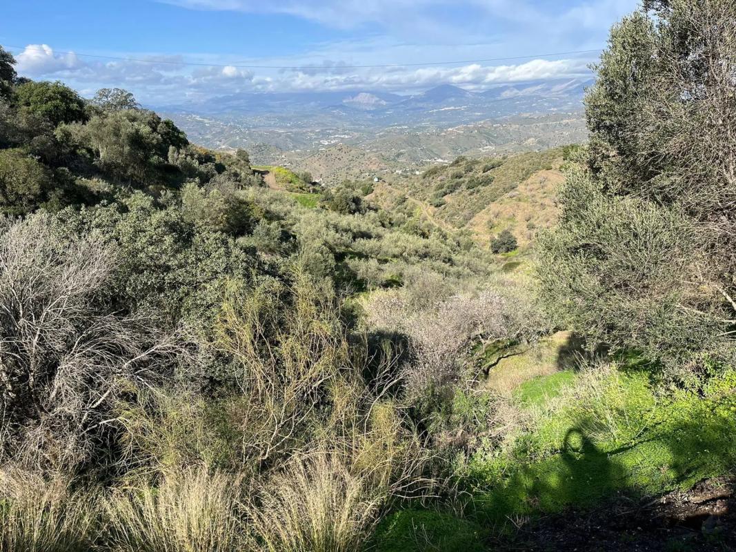 Terreno en venta en Vélez-Malaga, Malaga photo 3