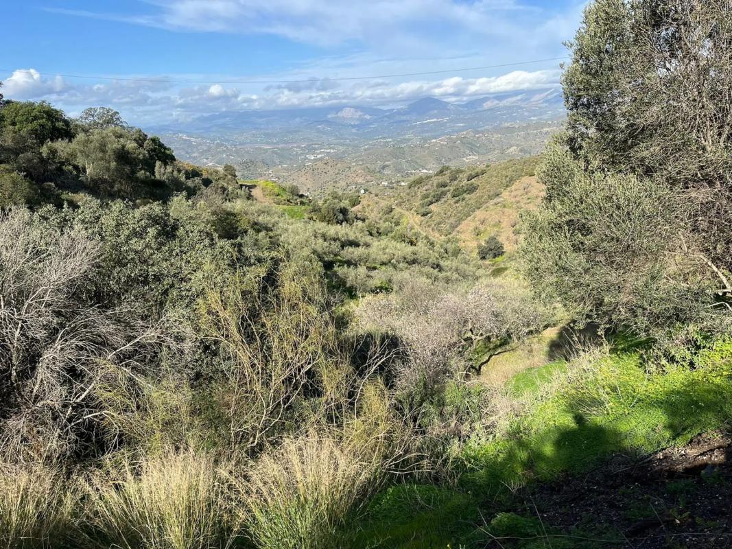 Terreno en venta en Vélez-Malaga, Malaga photo 4