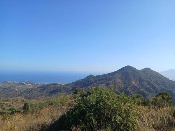 Terreno en Pinares de San Anton thumbnail 2