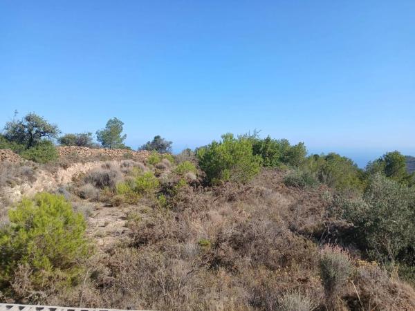 Terreno en Pinares de San Anton photo 4