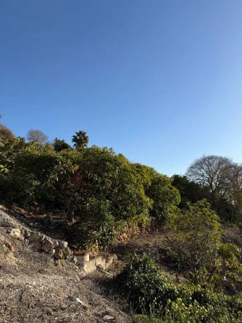 Terreno en Frigiliana photo 2