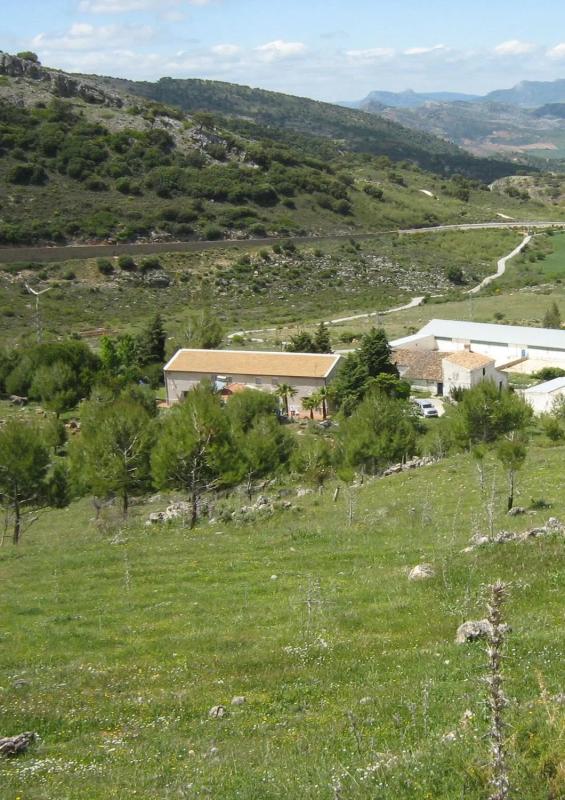 Terreno en venta en Ronda, Malaga photo 2