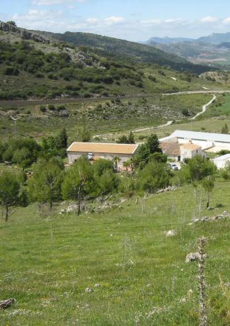Terreno en carretera de Algeciras thumbnail 1
