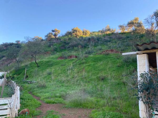 Terreno en A-7075, km 10 photo 1