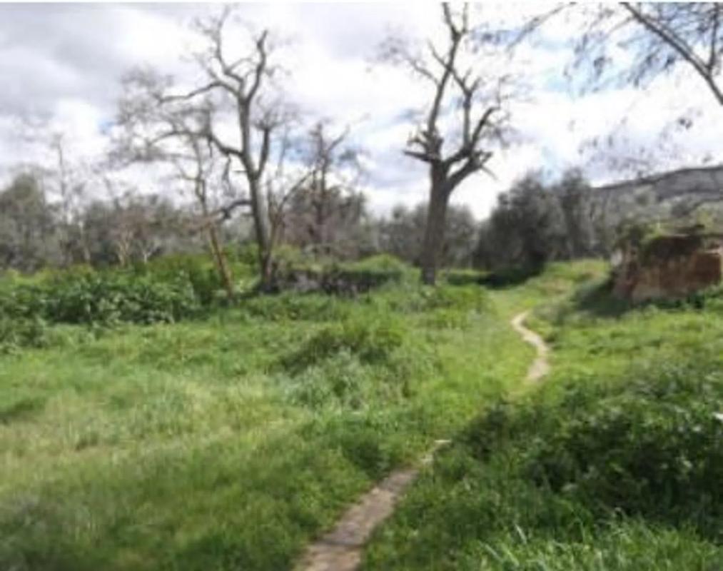 Terreno en venta en Antequera, Malaga photo 1