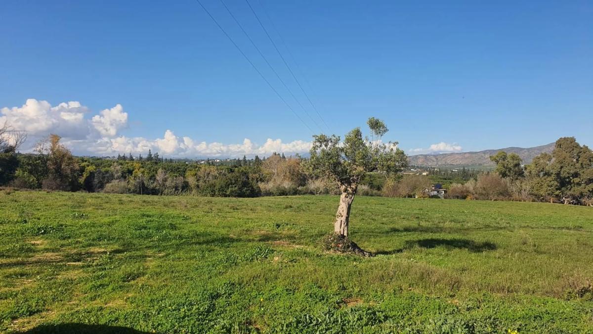 Land for sale in Alhaurín de la Torre, Malaga photo 2