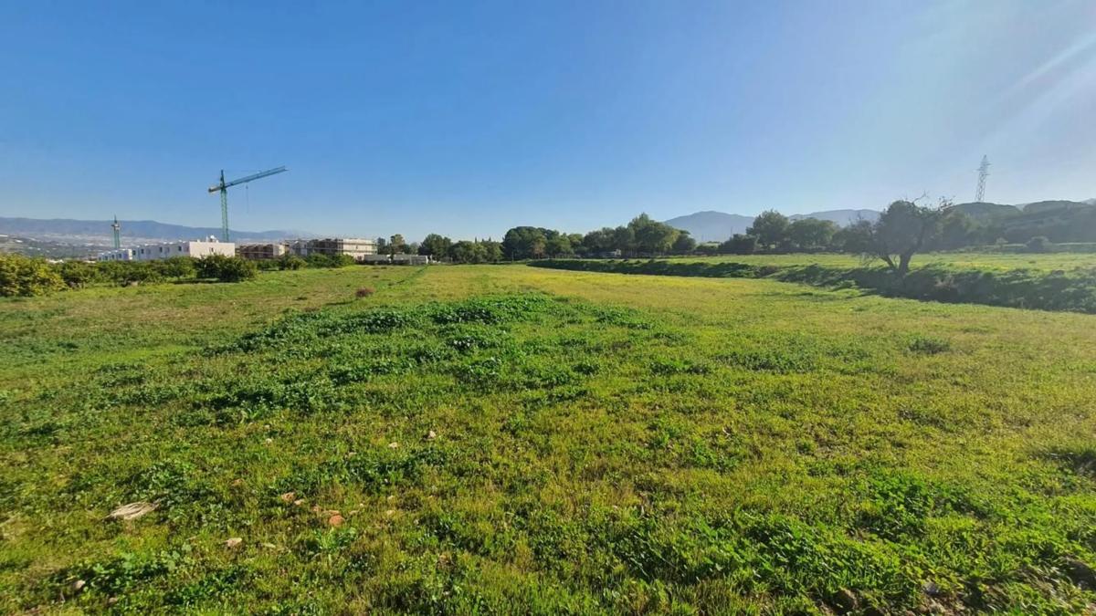 Land for sale in Alhaurín de la Torre, Malaga photo 3
