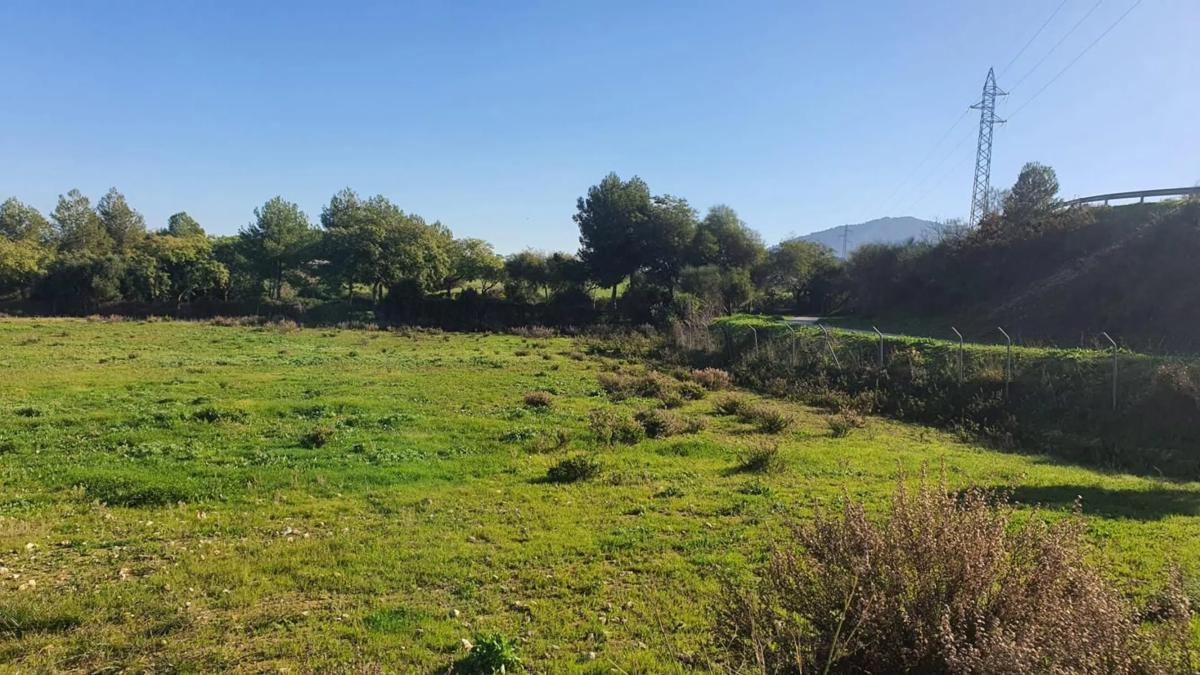 Land for sale in Alhaurín de la Torre, Malaga photo 4
