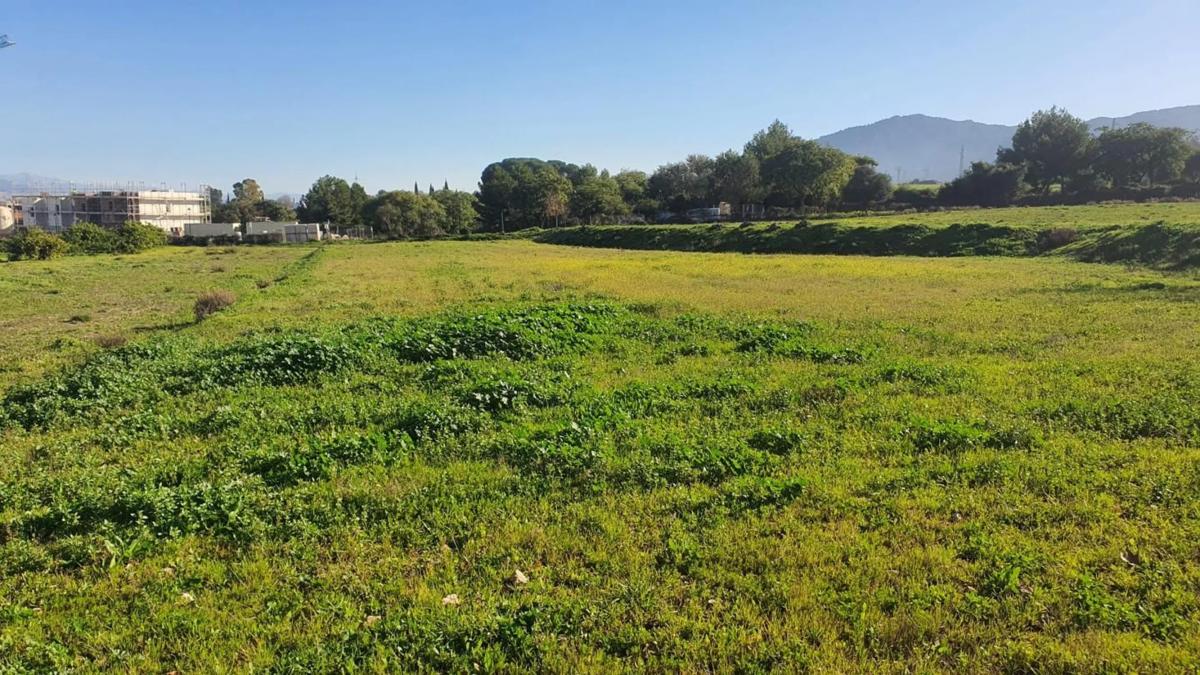 Land for sale in Alhaurín de la Torre, Malaga photo 5