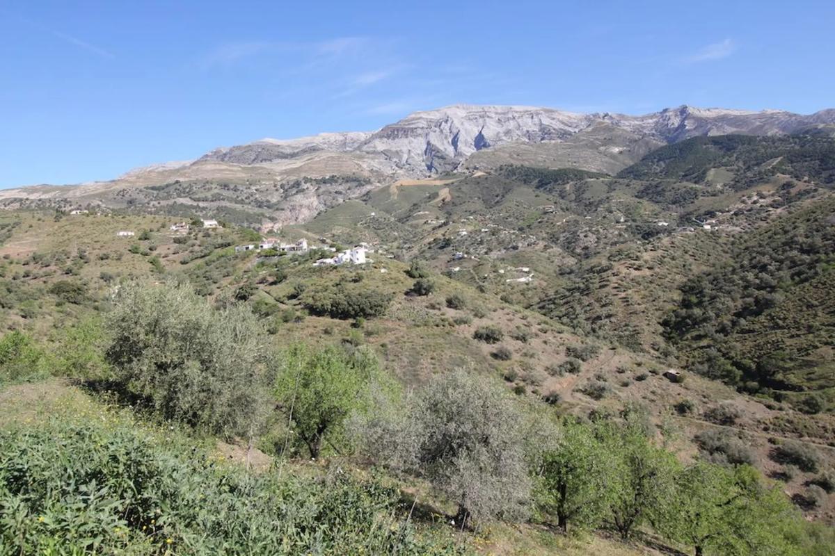 Terreno en venta en Sedella, Malaga photo 3