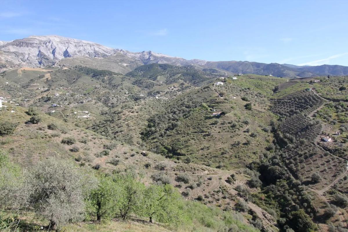 Terreno en venta en Sedella, Malaga photo 4