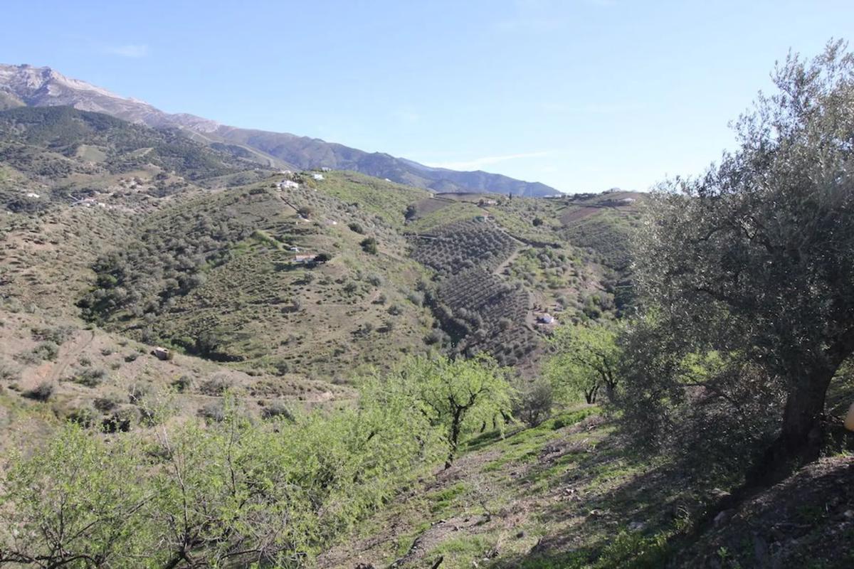 Terreno en venta en Sedella, Malaga photo 5