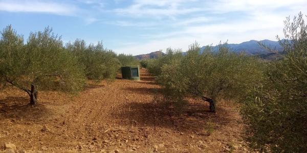 Terreno en Frailes, 28 poligonoparcela photo 1
