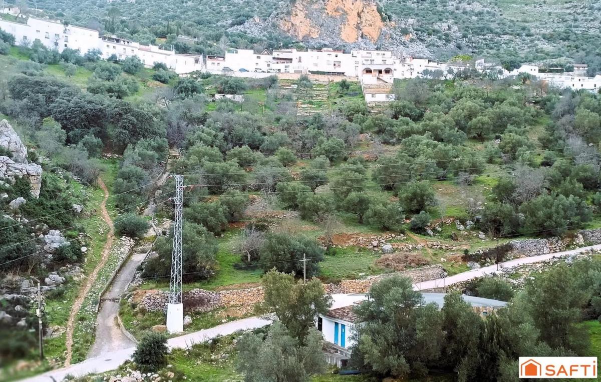Terreno en venta en Benaojan, Malaga photo 2