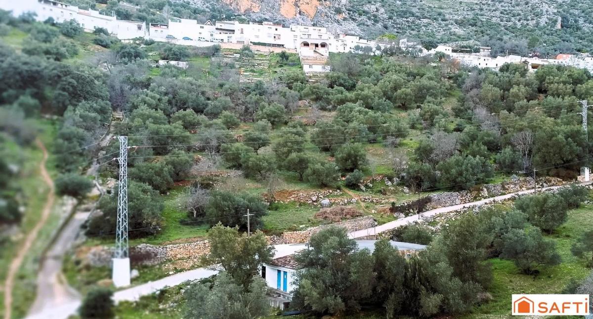 Terreno en venta en Benaojan, Malaga photo 3