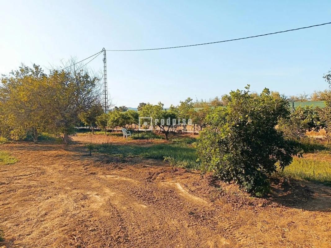 Terreno en venta en Cártama, Malaga photo 3