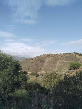 Terreno en Monda photo 1
