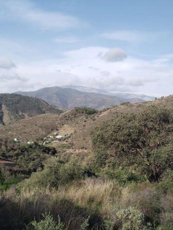 Terreno en Monda photo 3