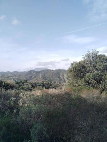 Terreno en Monda photo 4