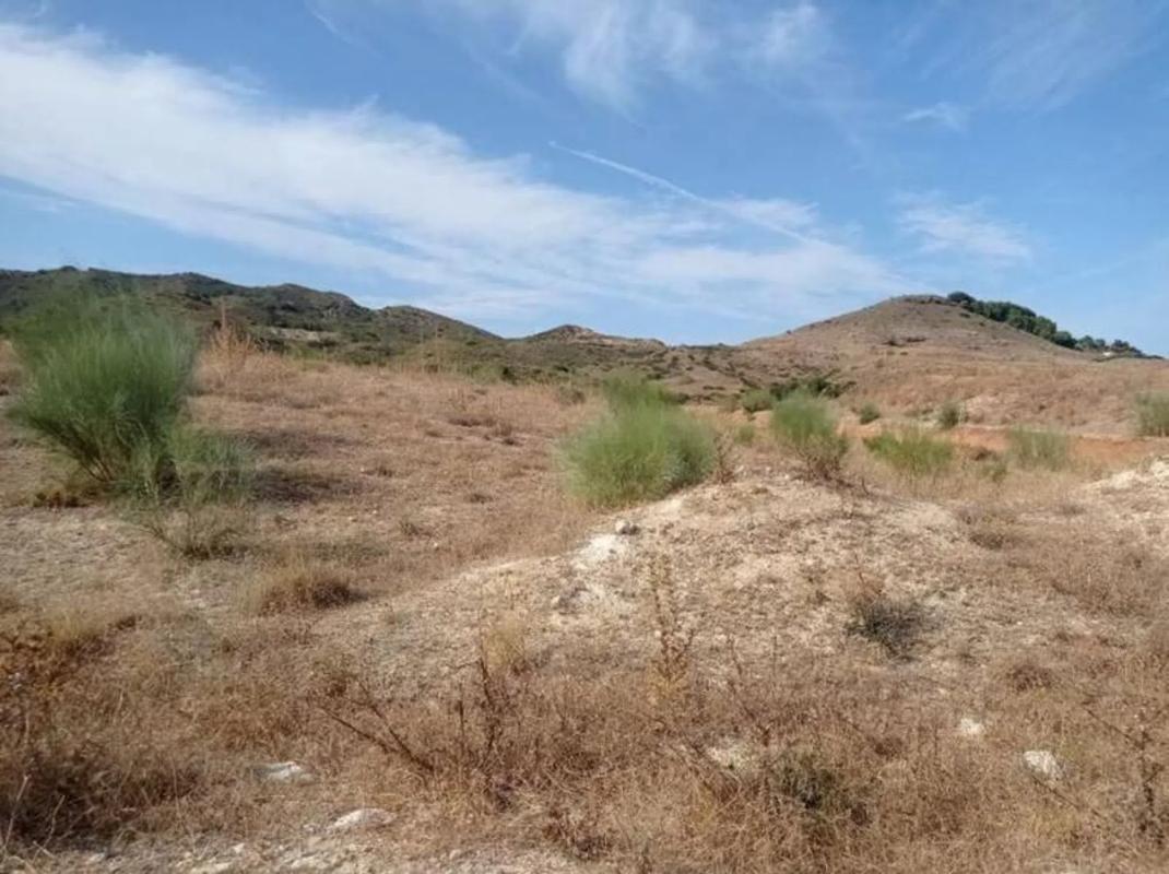 Terreno en venta en Alhaurín de la Torre, Malaga photo 4