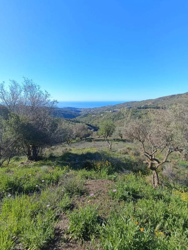 Terreno en venta en Moclinejo, Malaga photo 2