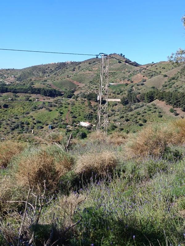 Terreno en venta en Moclinejo, Malaga photo 5