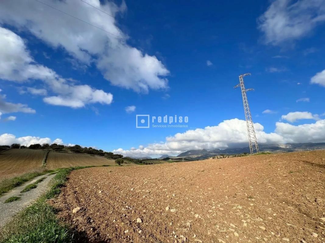 Terreno en venta en Colmenar, Malaga photo 2