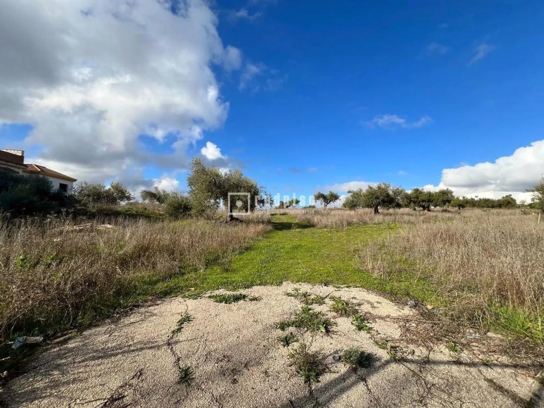 Terreno en venta en Colmenar, Malaga photo 4