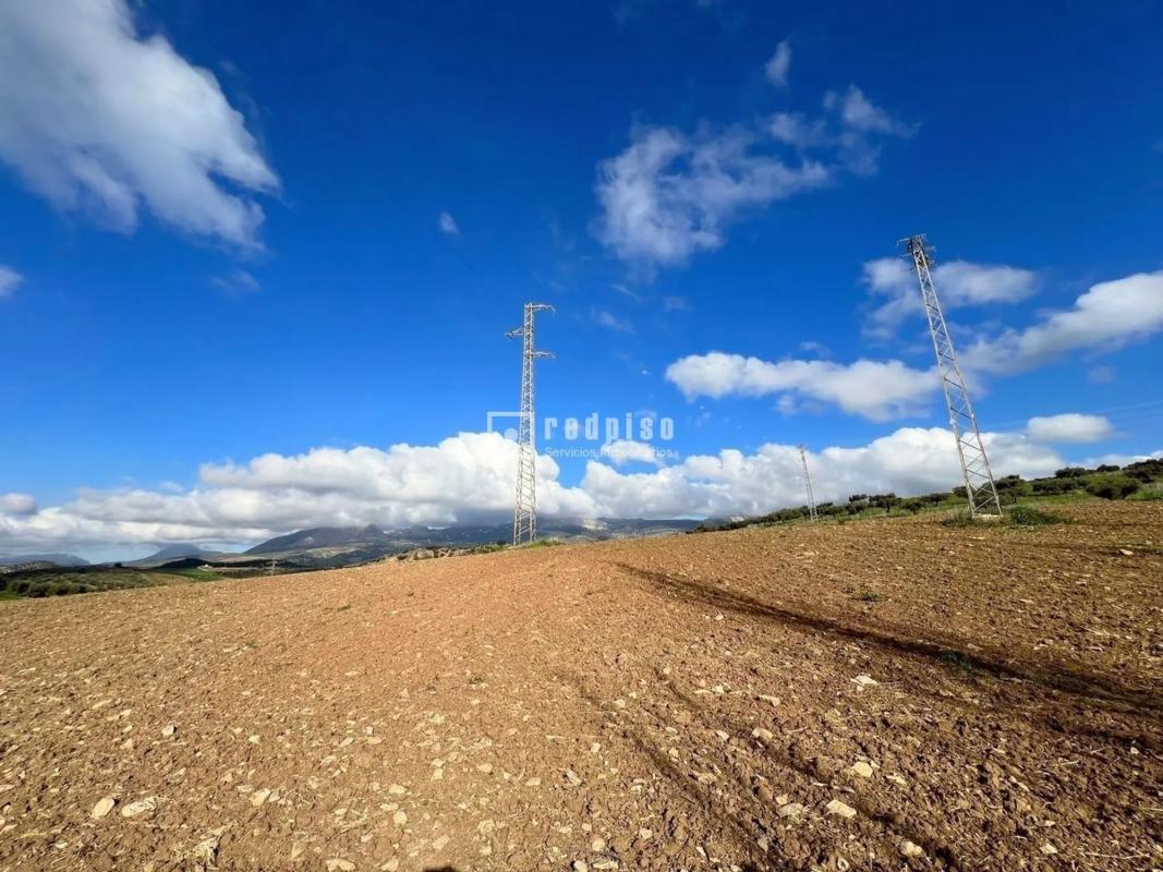 Terreno en venta en Colmenar, Malaga photo 5