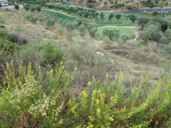Terreno en Arrabal Urb Antequera Golf thumbnail 1