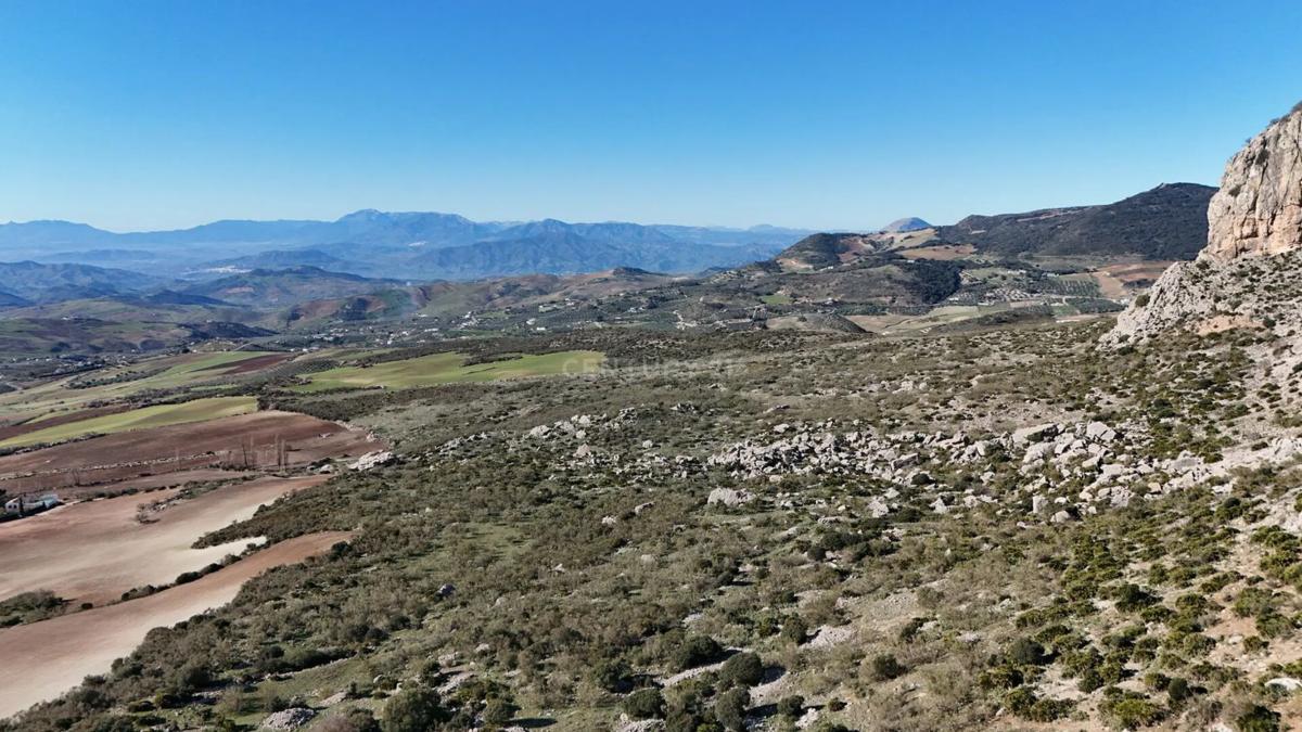 Terreno en venta en Antequera, Malaga photo 4