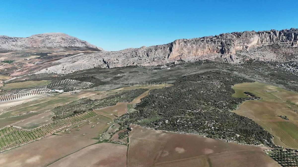 Terreno en venta en Antequera, Malaga photo 5