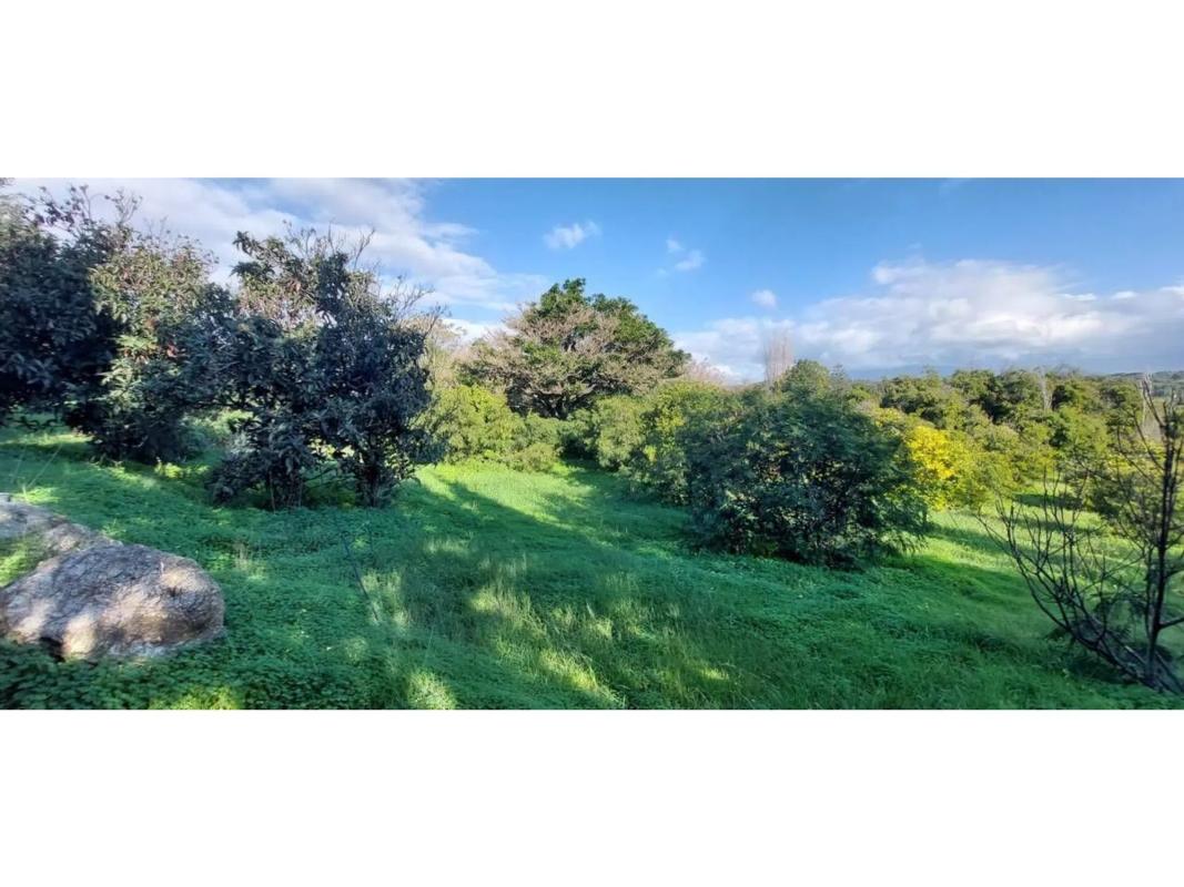 Terreno en venta en Estepona, Malaga photo 1