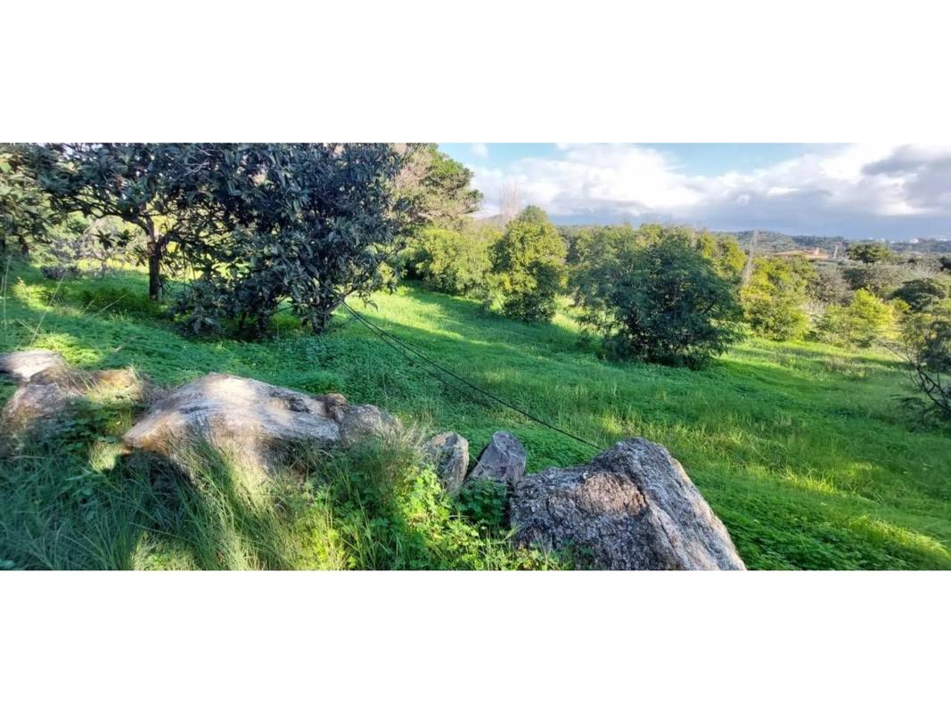Terreno en venta en Estepona, Malaga photo 2