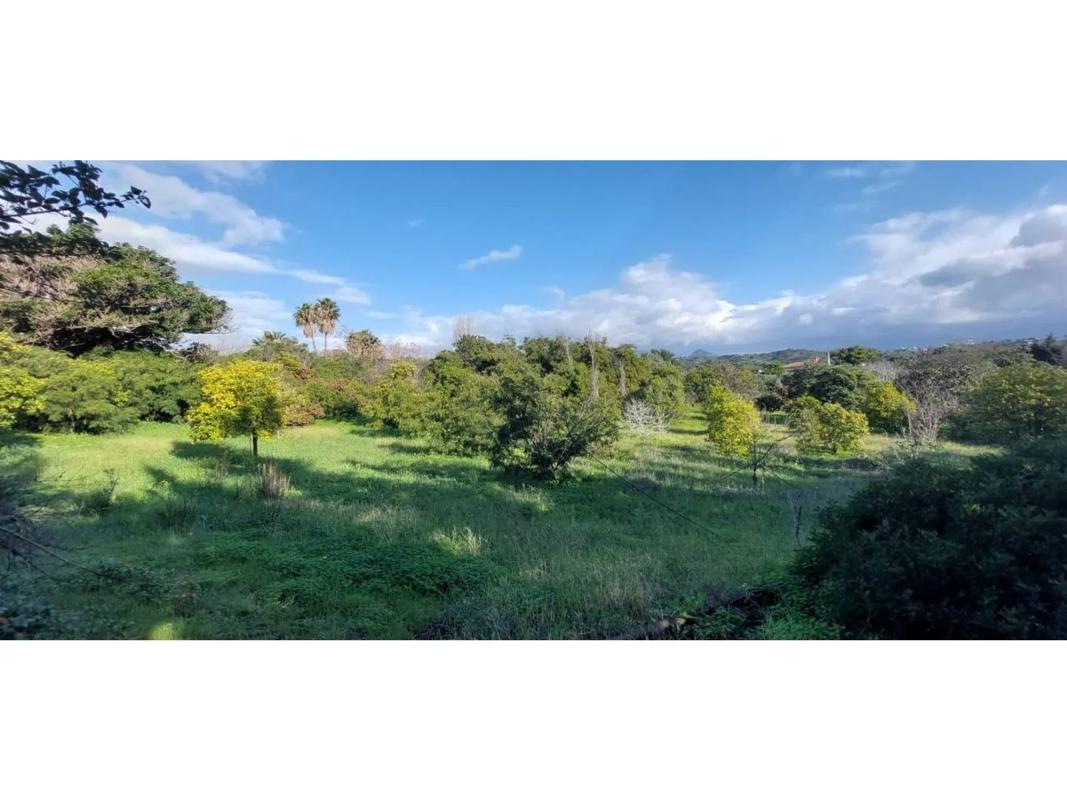 Terreno en venta en Estepona, Malaga photo 3
