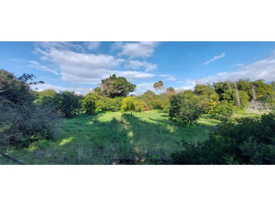 Terreno en venta en Estepona, Malaga photo 4