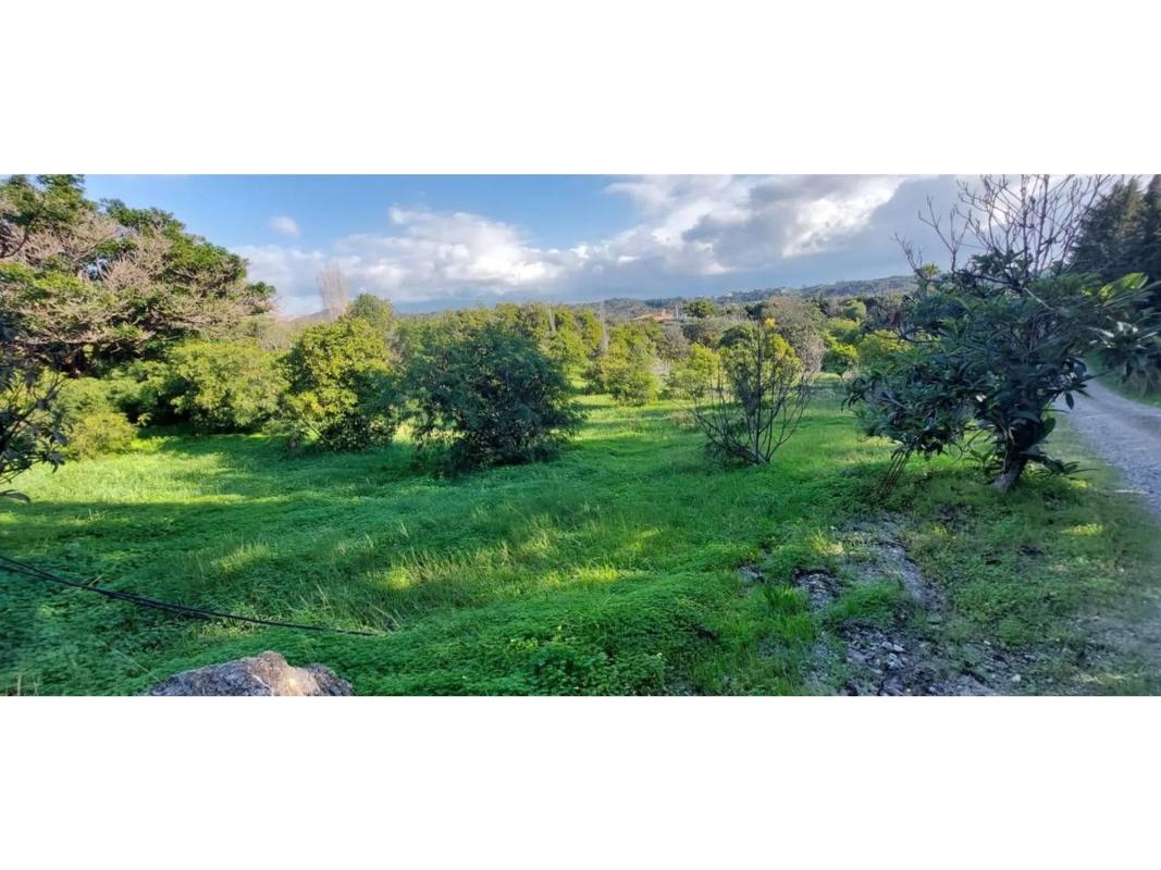 Terreno en venta en Estepona, Malaga photo 5