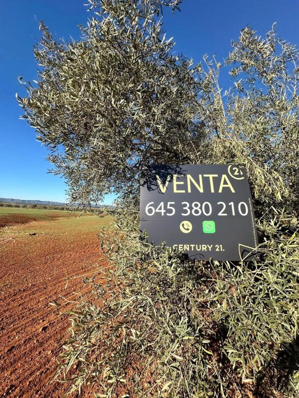 Terreno en venta en Fuente de Piedra, Malaga photo 4