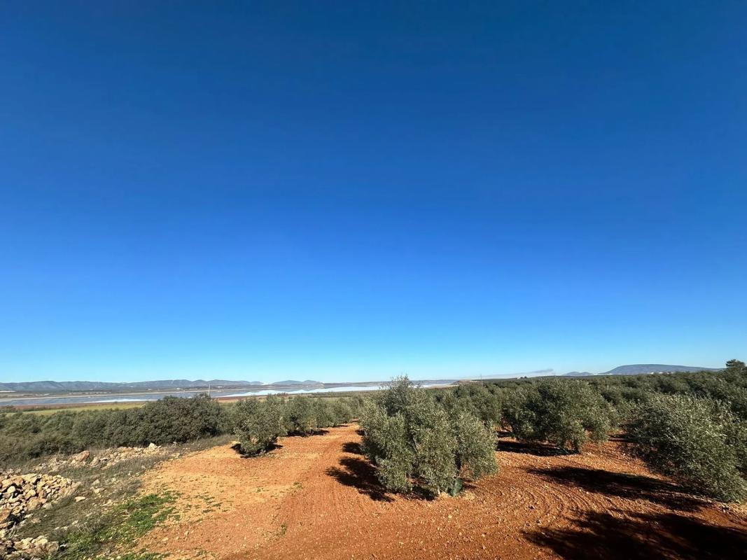 Terreno en venta en Fuente de Piedra, Malaga photo 5