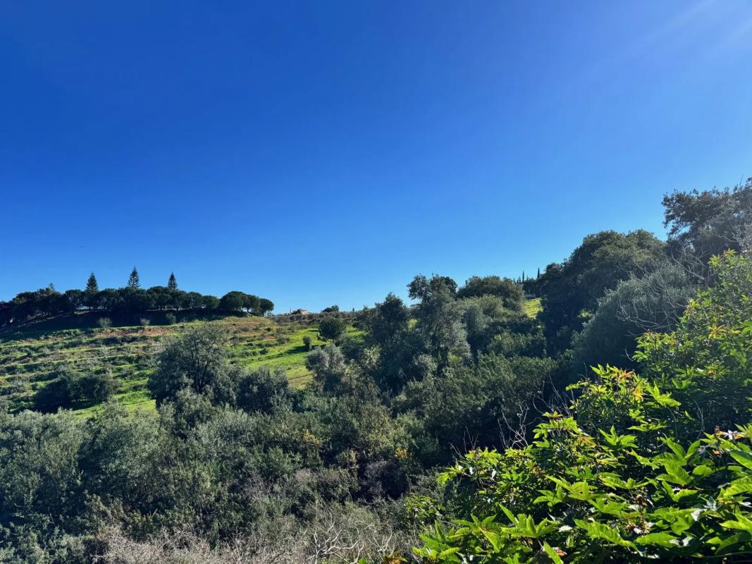 Terreno en venta en Mijas, Malaga photo 4