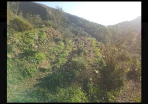Terreno en Canillas de Aceituno thumbnail 1
