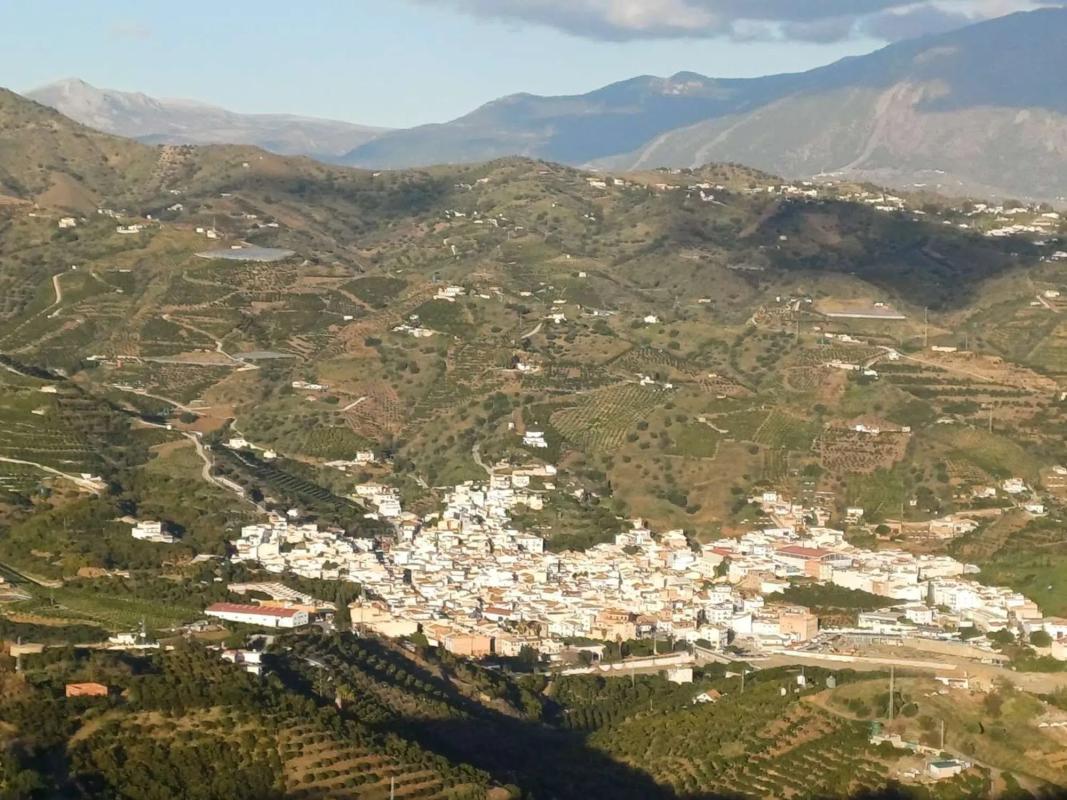 Działka na sprzedaż w Benamargosa, Malaga photo 2