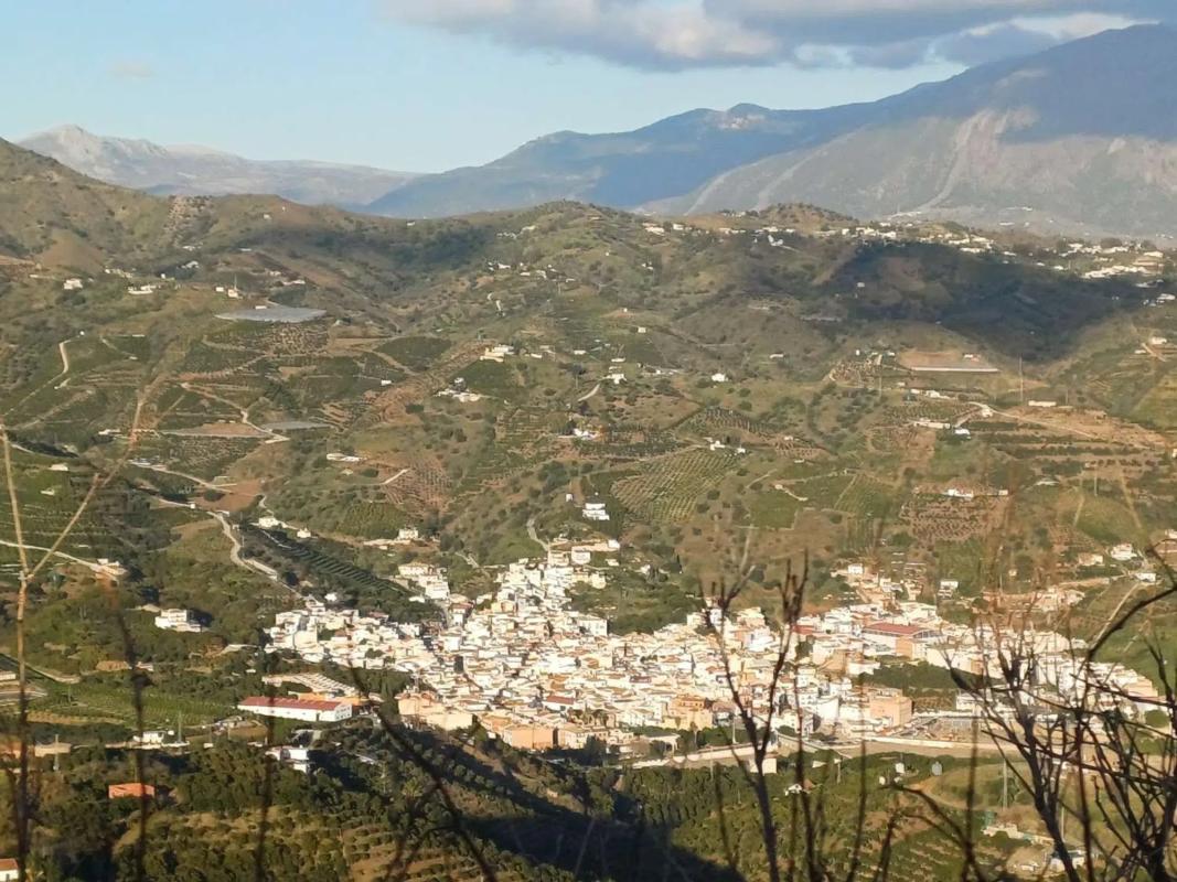 Działka na sprzedaż w Benamargosa, Malaga photo 3
