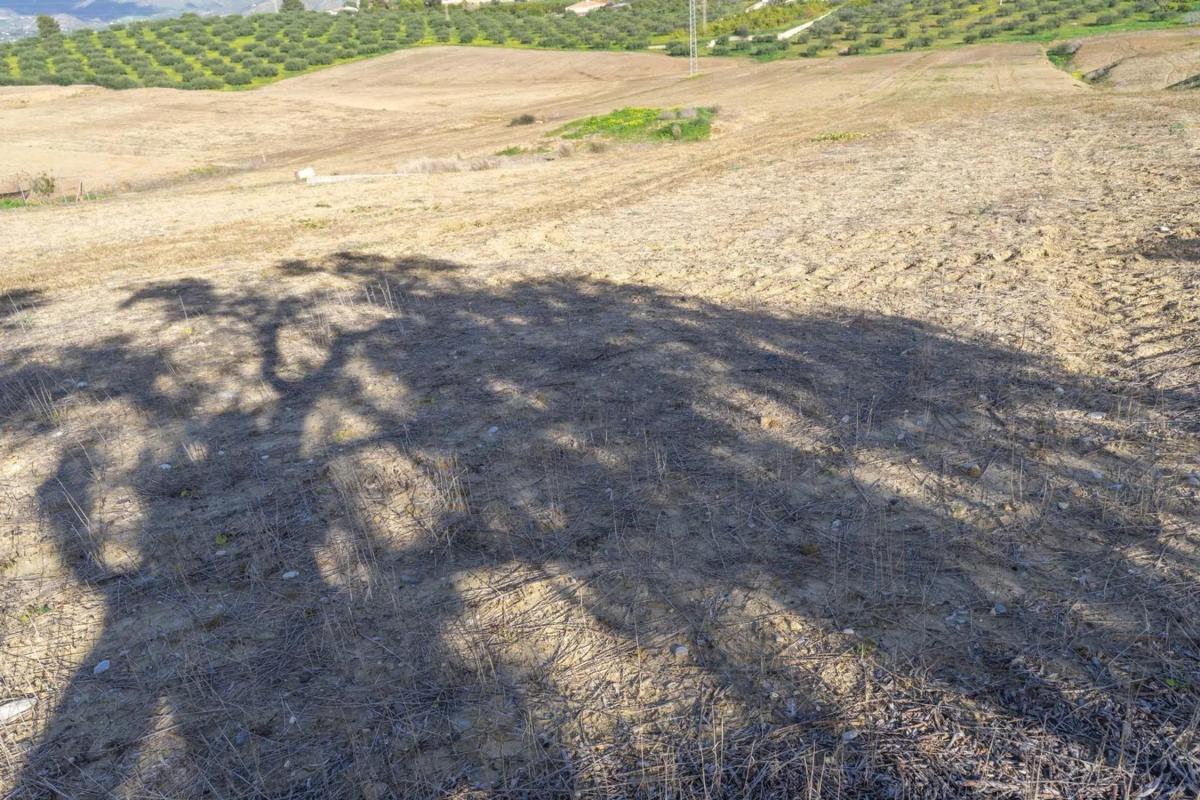Land for sale in Alhaurín el Grande, Malaga photo 1